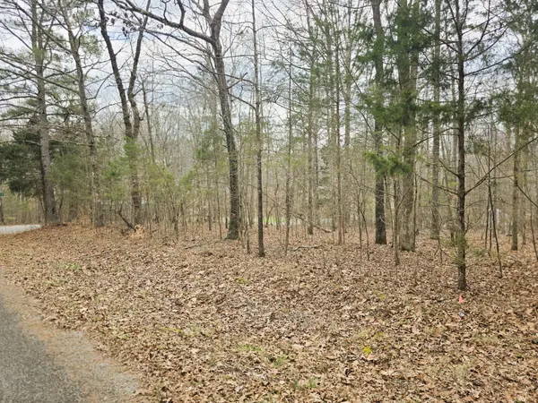 0 Ramblingwood Dr, Big Sandy, TN 38221