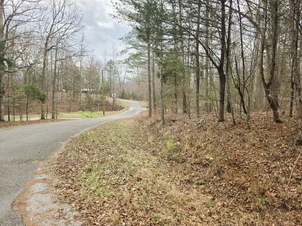 0 Ramblingwood Dr, Big Sandy, TN 38221