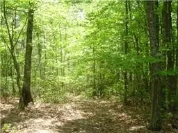 0 Boulder lake Rd, Coalmont, TN 37313
