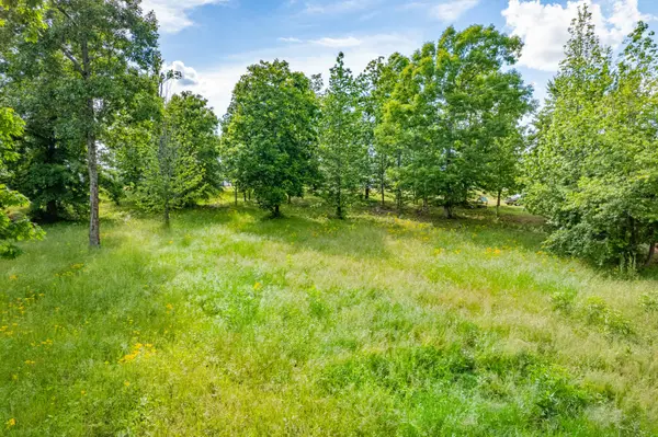 0 Wyshema Court, Mount Pleasant, TN 38474