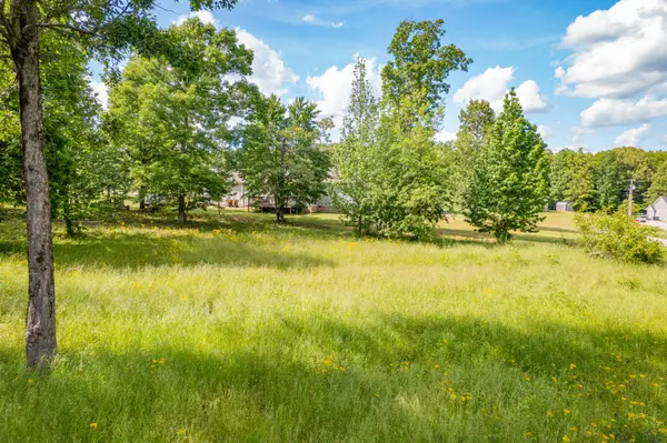 0 Wyshema Court, Mount Pleasant, TN 38474
