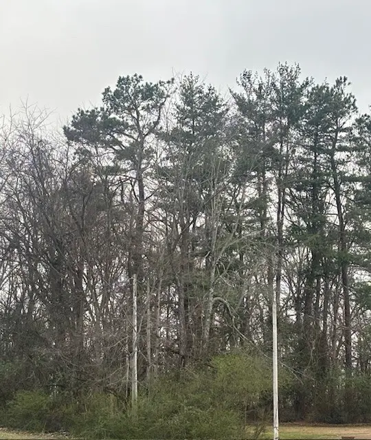 102 Lake Dr #W, Dickson, TN 37055