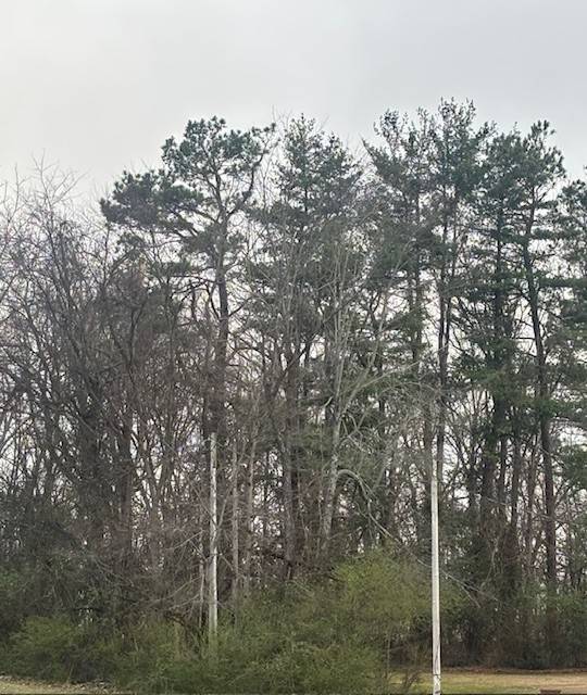 102 Lake Dr #W, Dickson, TN 37055
