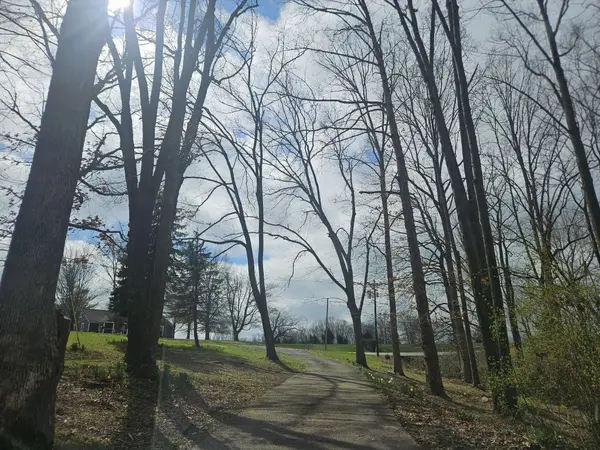 1581 Galen Rd, Lafayette, TN 37083