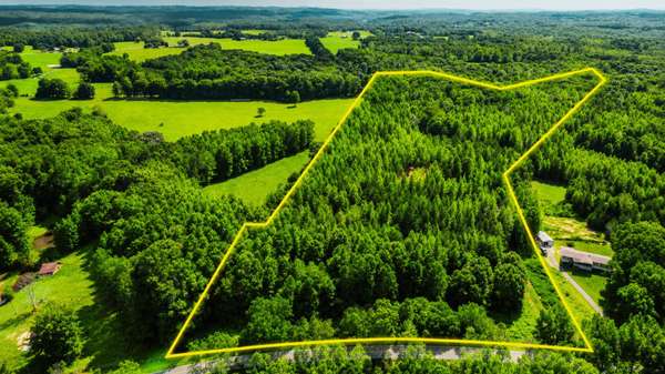 0 TBD Davis Hollow Road, Minor Hill, TN 38473