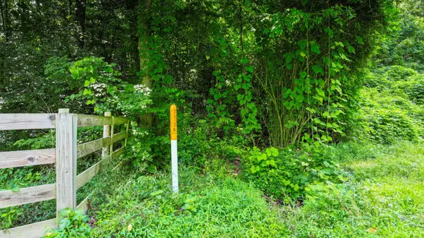 0 TBD Davis Hollow Road, Minor Hill, TN 38473