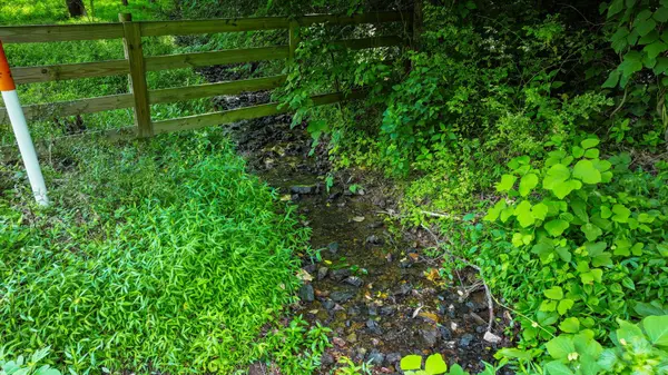0 TBD Davis Hollow Road, Minor Hill, TN 38473