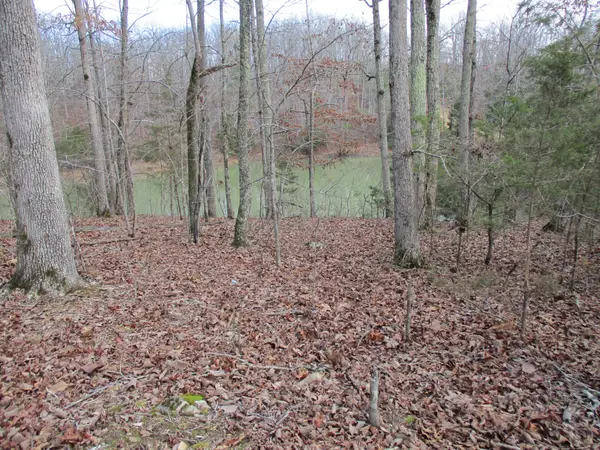 0 Split Lake Drive, Nunnelly, TN 37137