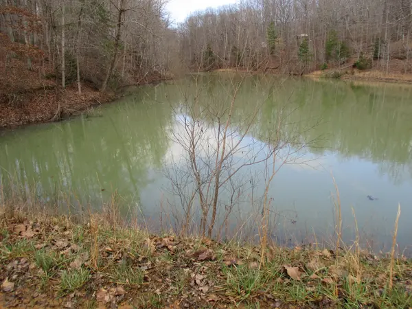 0 Split Lake Drive, Nunnelly, TN 37137