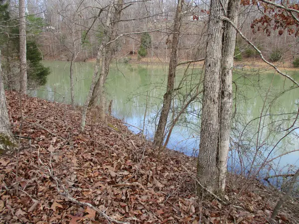 0 Split Lake Drive, Nunnelly, TN 37137