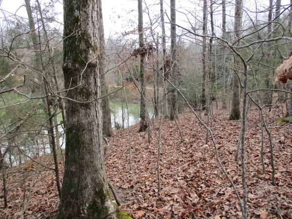 0 Split Lake Drive, Nunnelly, TN 37137