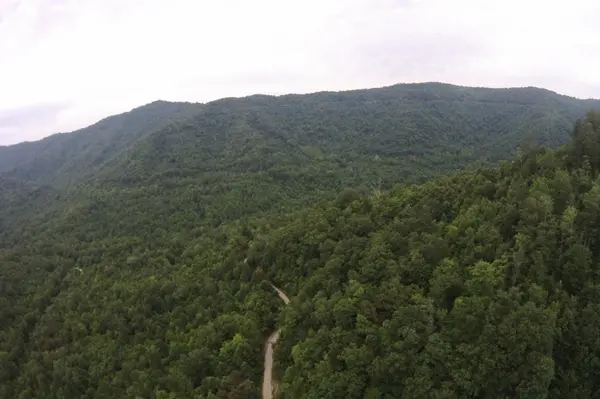 1 Straight Fork Road, Huntsville, TN 37756