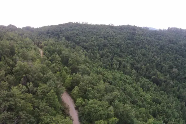 1 Straight Fork Road, Huntsville, TN 37756