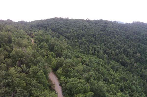 1 Straight Fork Road, Huntsville, TN 37756