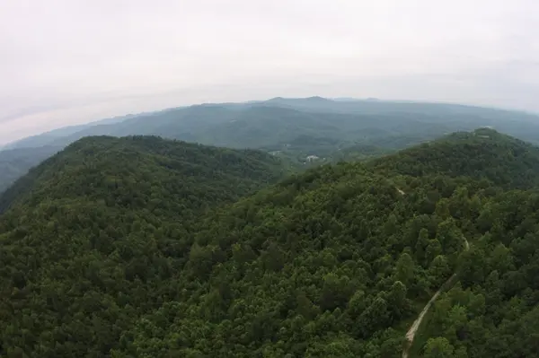 1 Straight Fork Road, Huntsville, TN 37756
