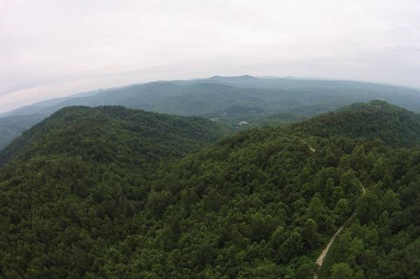 1 Straight Fork Road, Huntsville, TN 37756