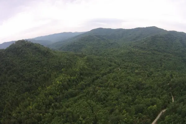 1 Straight Fork Road, Huntsville, TN 37756