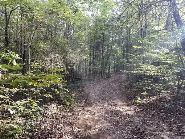 0 Waters Road, Centerville, TN 37033