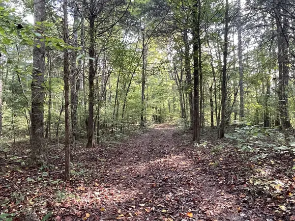 0 Waters Road, Centerville, TN 37033