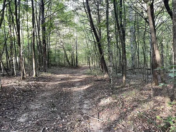 0 Waters Road, Centerville, TN 37033