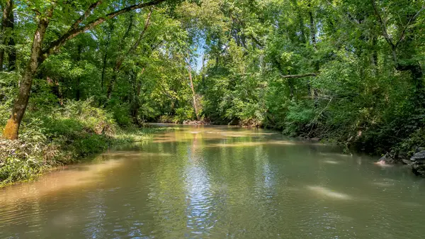 0 Clyde Gleaves Rd, Wartrace, TN 37183