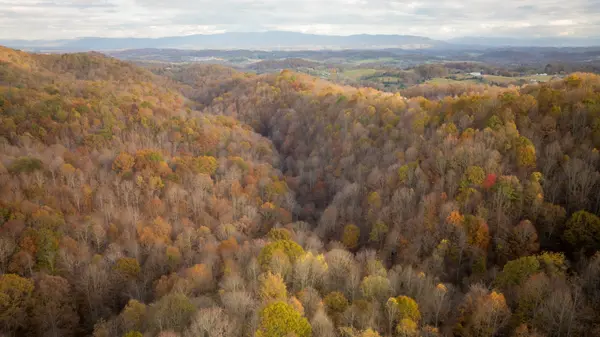 544 Ethel Beard Rd, Blountville, TN 37617