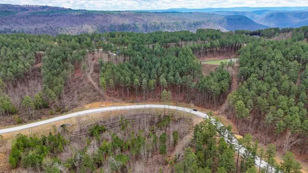 0 Birds Eye Way, Guild, TN 37340