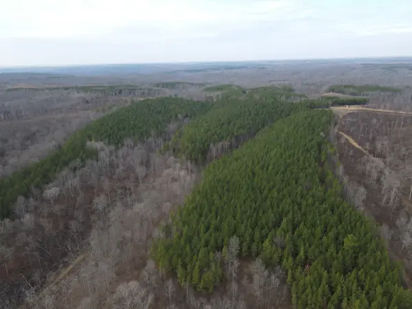 0 North Fork, Stewart, TN 37175