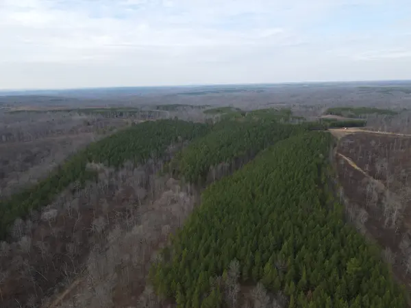 0 North Fork, Stewart, TN 37175