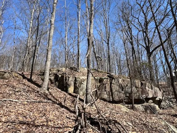 0 Nancy Wynn Ln, Sewanee, TN 37375