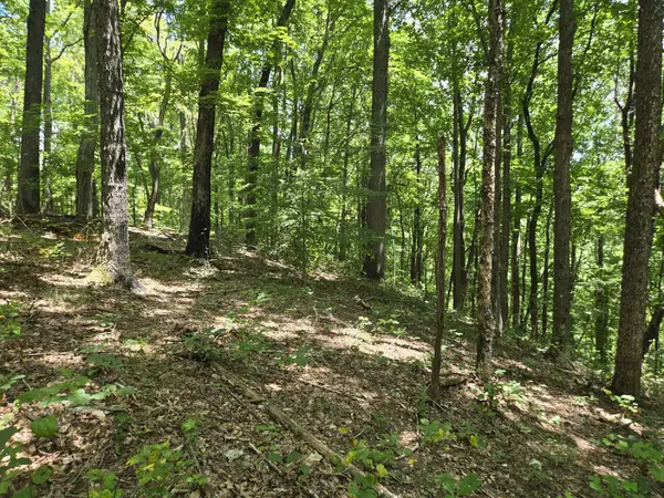16 Seals Hollow Rd, Woodbury, TN 37190