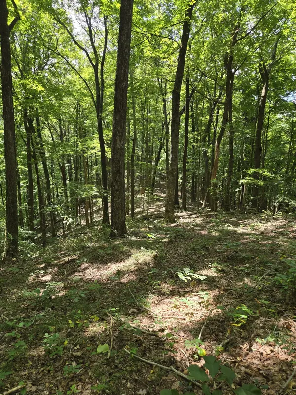 16 Seals Hollow Rd, Woodbury, TN 37190