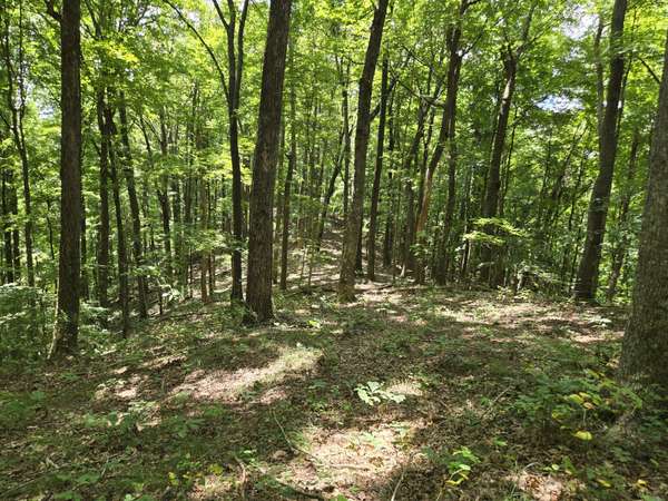 16 Seals Hollow Rd, Woodbury, TN 37190