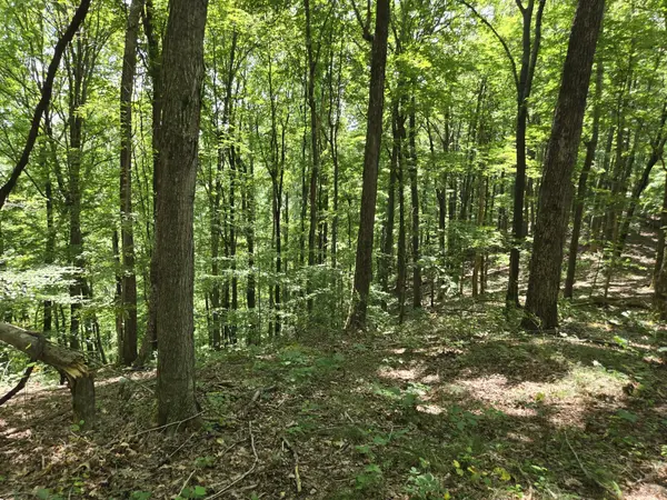 16 Seals Hollow Rd, Woodbury, TN 37190