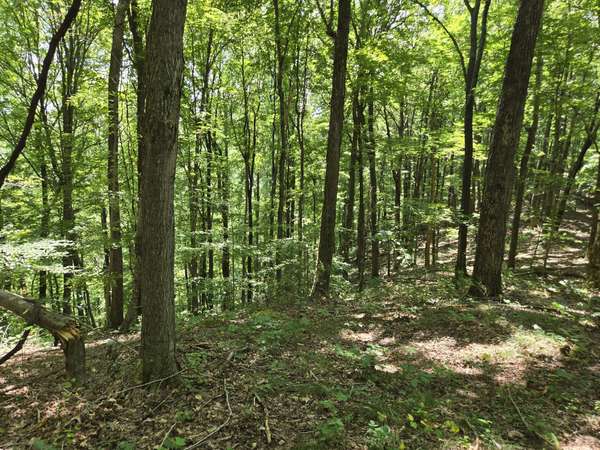 16 Seals Hollow Rd, Woodbury, TN 37190