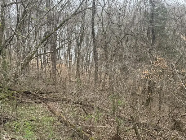 0 Lakeside Dr, Smithville, TN 37166