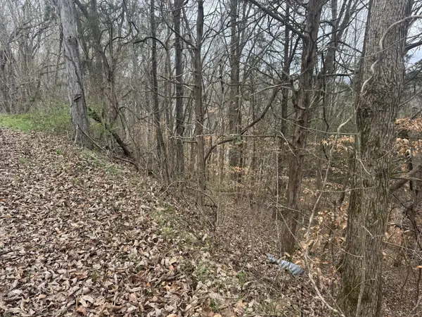 0 Lakeside Dr, Smithville, TN 37166