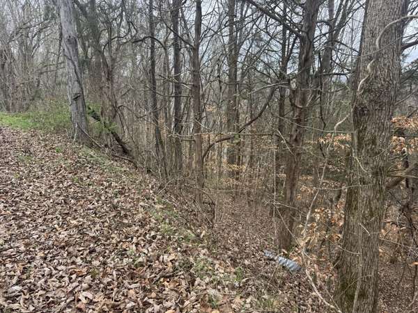 0 Lakeside Dr, Smithville, TN 37166
