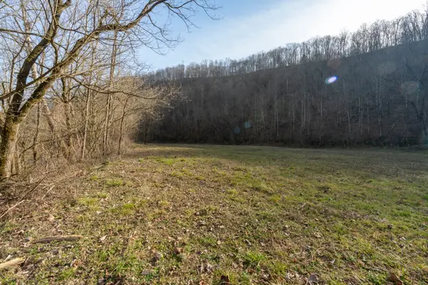 0 Charlie Allen Ln, Whitleyville, TN 38588
