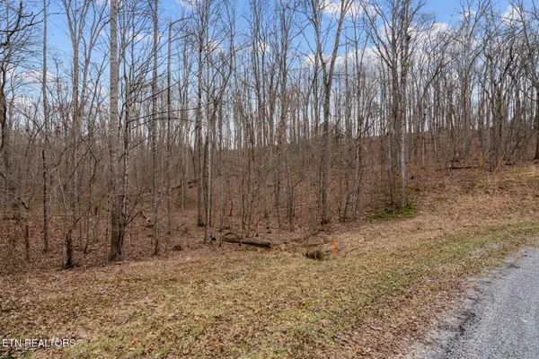 0 Creek Drive, Monterey, TN 38574