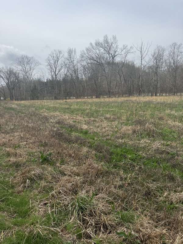 1234 Puncheon Creek Road, Lafayette, TN 37083