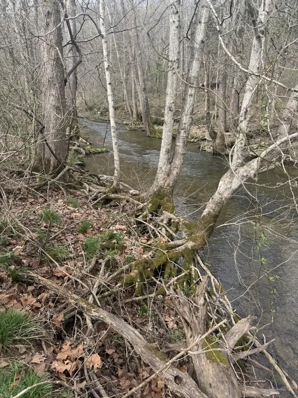 1234 Puncheon Creek Road, Lafayette, TN 37083