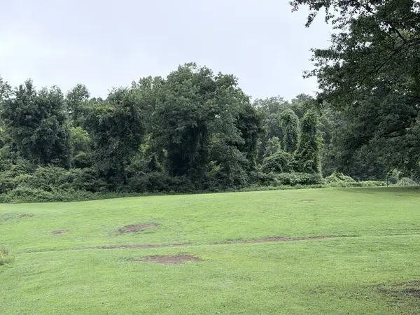 0 4th Street, Monteagle, TN 37356