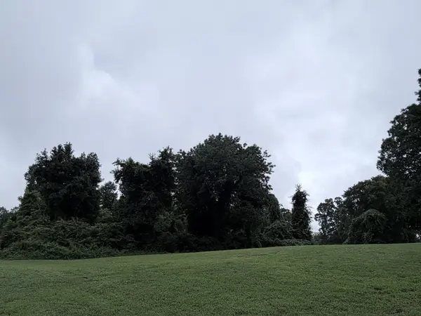 0 4th Street, Monteagle, TN 37356