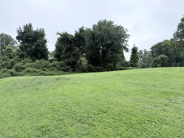 0 4th Street, Monteagle, TN 37356