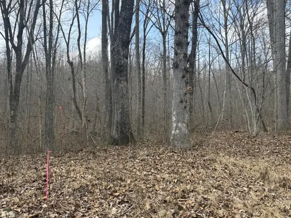 161 Quail Lane, Dunlap, TN 37327