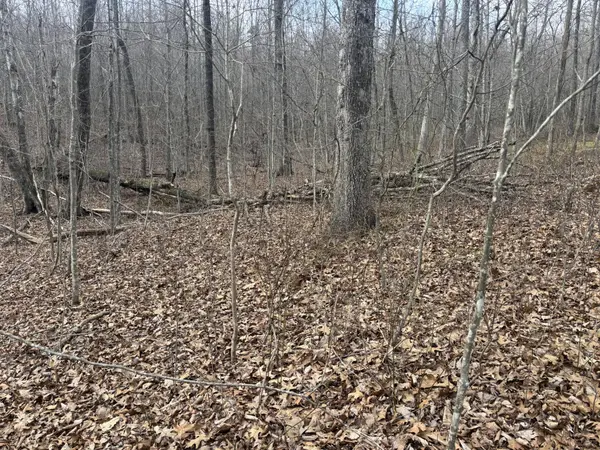 161 Quail Lane, Dunlap, TN 37327