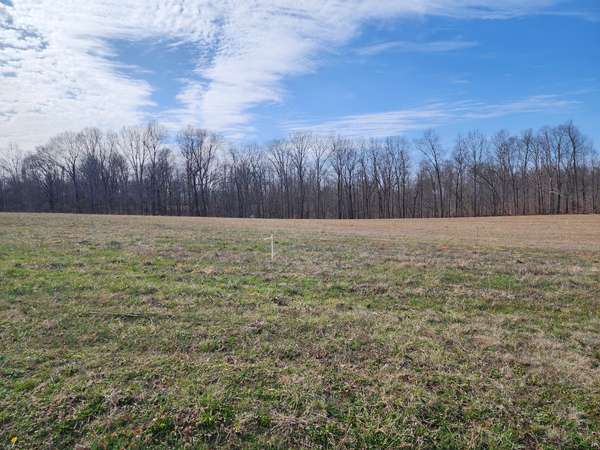 3 Fredonia Rd, Manchester, TN 37355