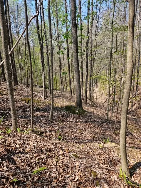 5 Acres Benton Tidwell Rd, Hilham, TN 38568