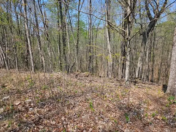 5 Acres Benton Tidwell Rd, Hilham, TN 38568